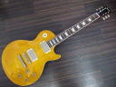 Burny RLG-55 VLD