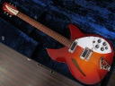 Rickenbacker Model 330 FG '81