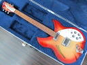 Rickenbacker Model 330 FG '00