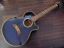 Takamine PT-106